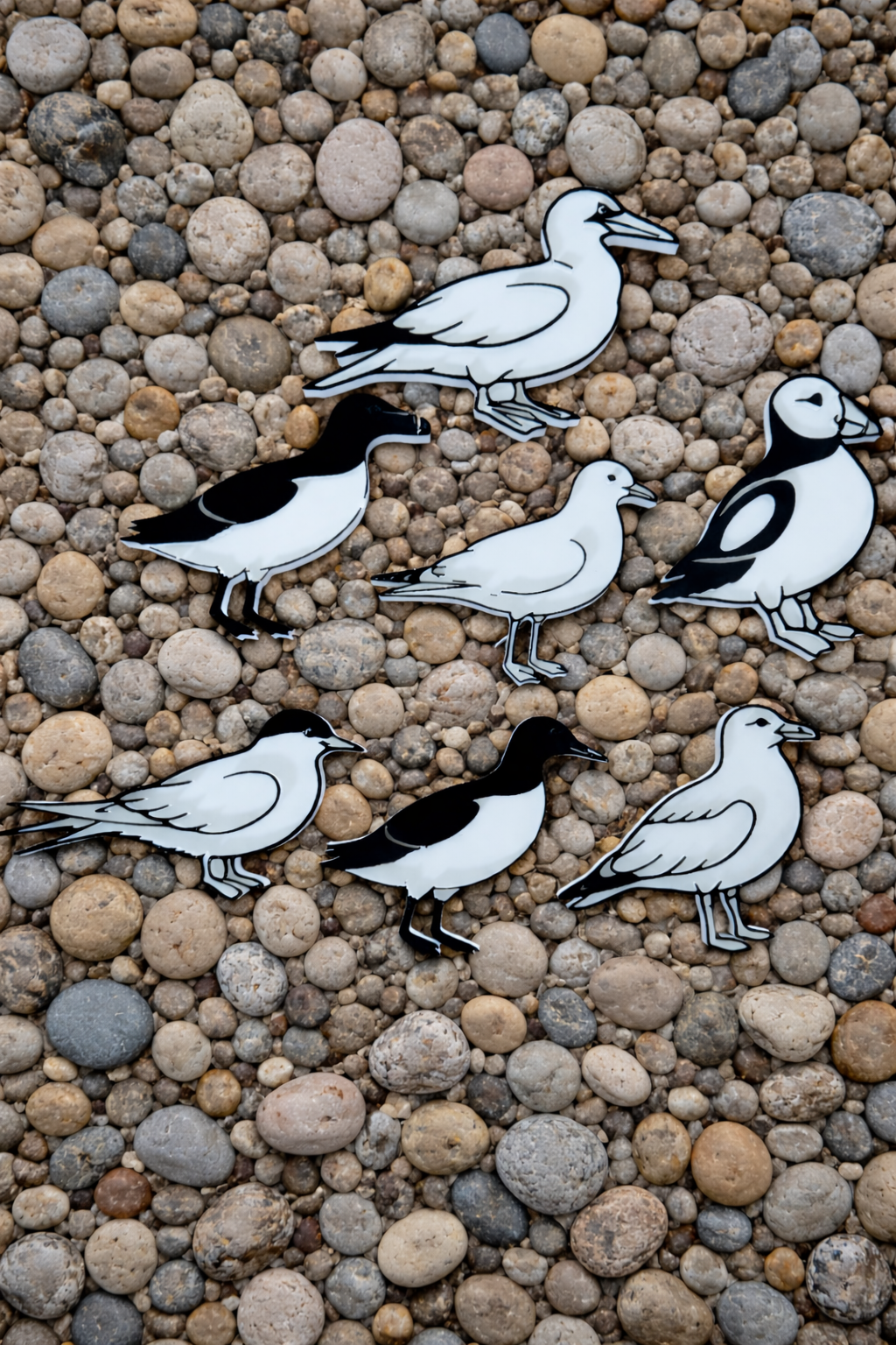 UK Seabirds Sensory Play Set – British Coastal Birds EYFS Wildlife Resource