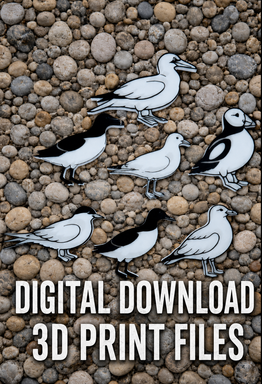 UK Seabirds STL Files – British Coastal Bird Sensory Play 3D Print Bundle | Digital Download