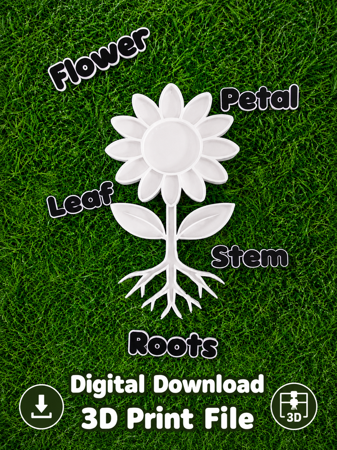 Parts of a Flower Educational Set STL Files | Plant Science Learning Resource | 3D Print Digital Download