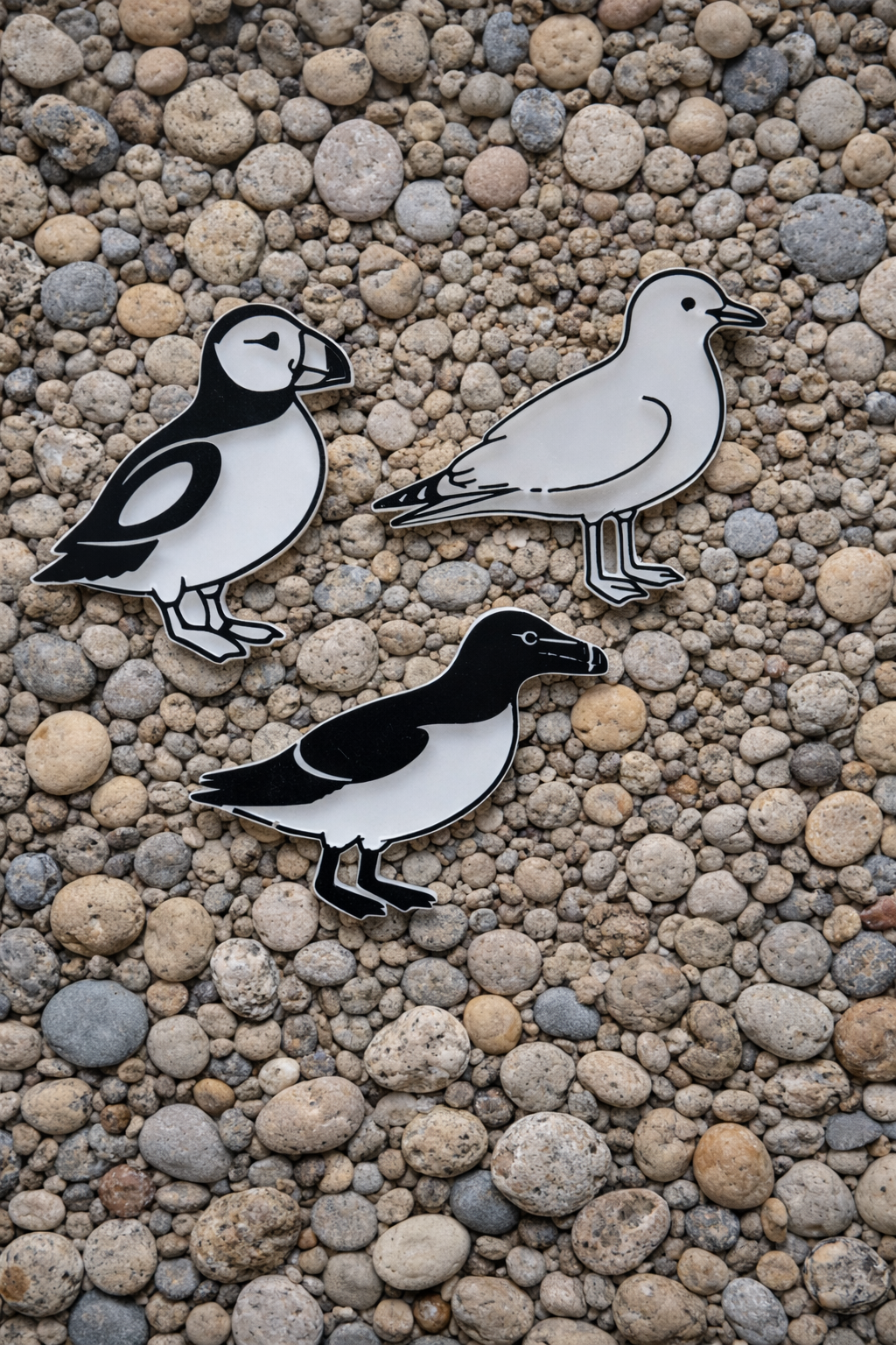 UK Seabirds Sensory Play Set – British Coastal Birds EYFS Wildlife Resource