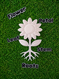 Flower Parts Exploration Tray & Labelling Set | Plant Science Learning Resource
