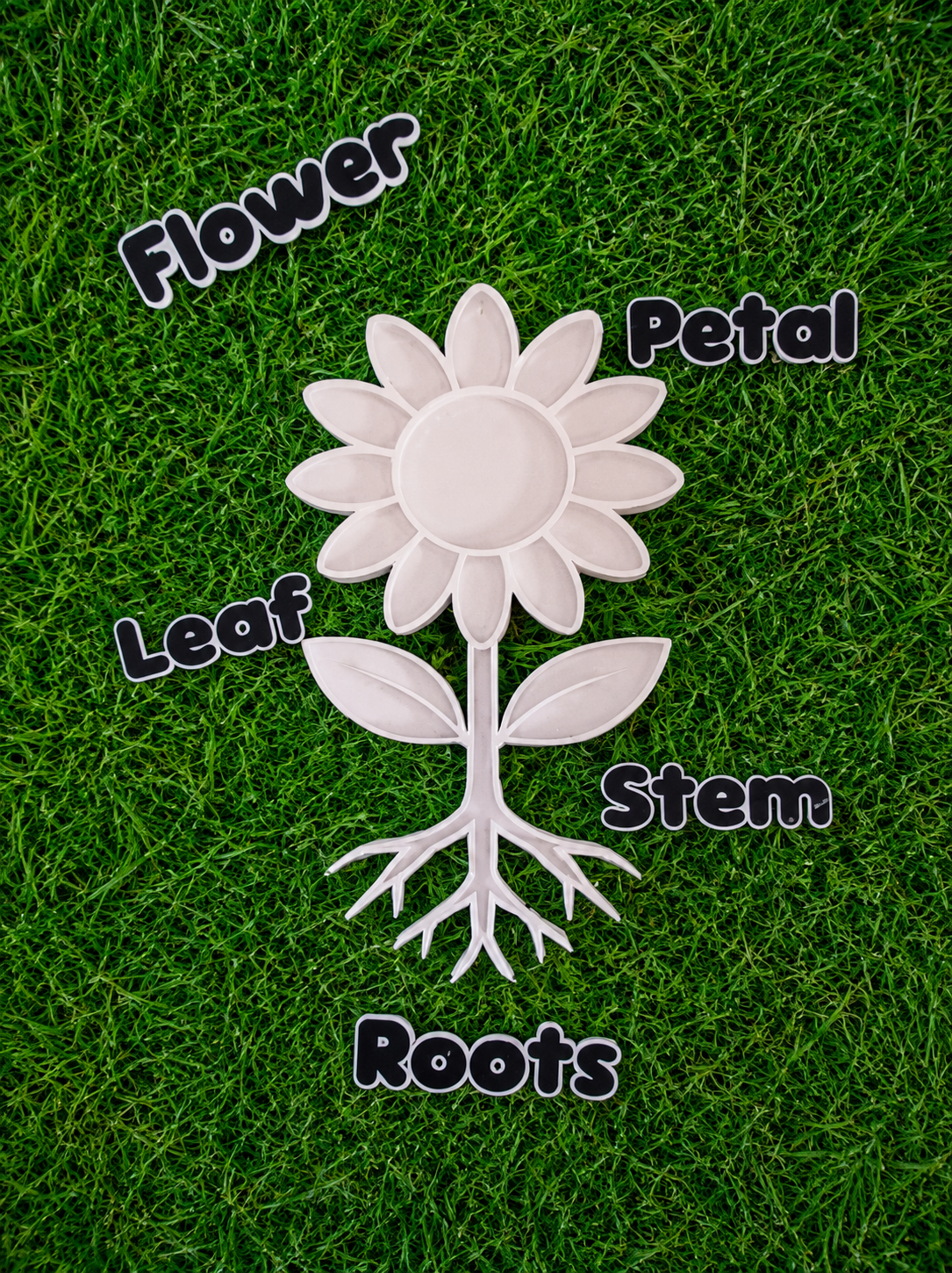 Flower Parts Exploration Tray & Labelling Set | Plant Science Learning Resource